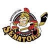 Binghamton Senators Logo