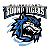 Binghamton Senators Logo