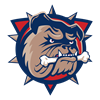 Binghamton Senators Logo