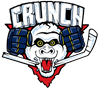 Binghamton Senators Logo